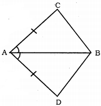 KSEEB Solutions for Class 9 Maths Chapter 5 Triangles Ex 5.1 1