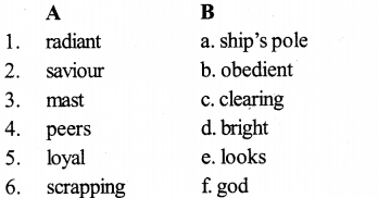 KSEEB SSLC Class 10 English Solutions Prose Chapter 6 The Discovery 10