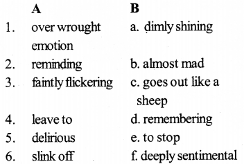 KSEEB SSLC Class 10 English Solutions Prose Chapter 6 The Discovery 11