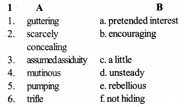 KSEEB SSLC Class 10 English Solutions Prose Chapter 6 The Discovery 6