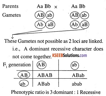 2nd PUC Biology Question Bank Chapter 5 Principles of Inheritance and Variation 5
