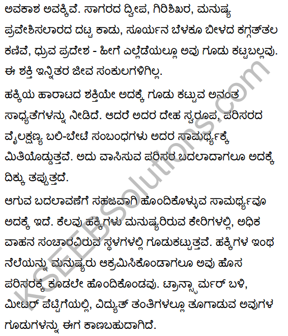 Hakkigudugala Nigudha Jagattu Summary in Kannada 6