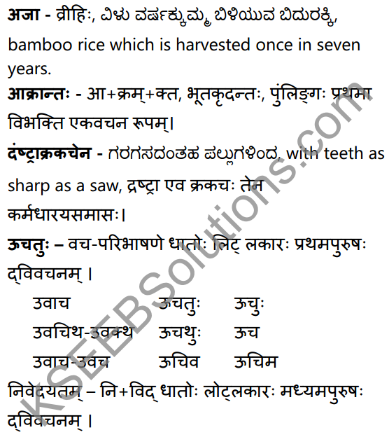 विवादः विनाशाय Summary in Kannada and English 30