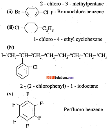 2nd PUC Chemistry Question Bank Chapter 10 Haloalkanes and Haloarenes - 8