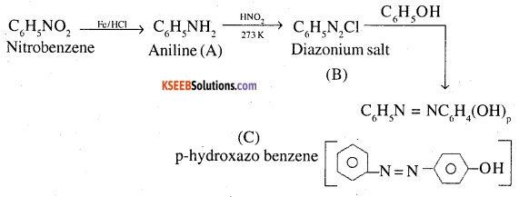 2nd PUC Chemistry Question Bank Chapter 13 Amines - 100