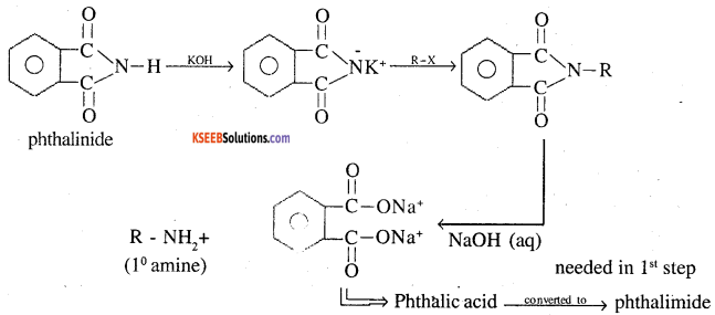 2nd PUC Chemistry Question Bank Chapter 13 Amines - 11