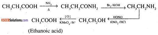 2nd PUC Chemistry Question Bank Chapter 13 Amines - 21