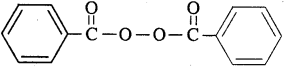 2nd PUC Chemistry Question Bank Chapter 15 Polymers - 7