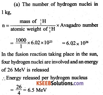 2nd PUC Physics Question Bank Chapter 13 Nuclei 51