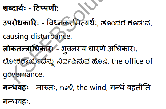 शून्या मेऽङ्गुलिः Summary in Kannada and English 67
