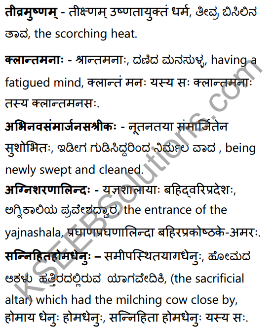 शून्या मेऽङ्गुलिः Summary in Kannada and English 69