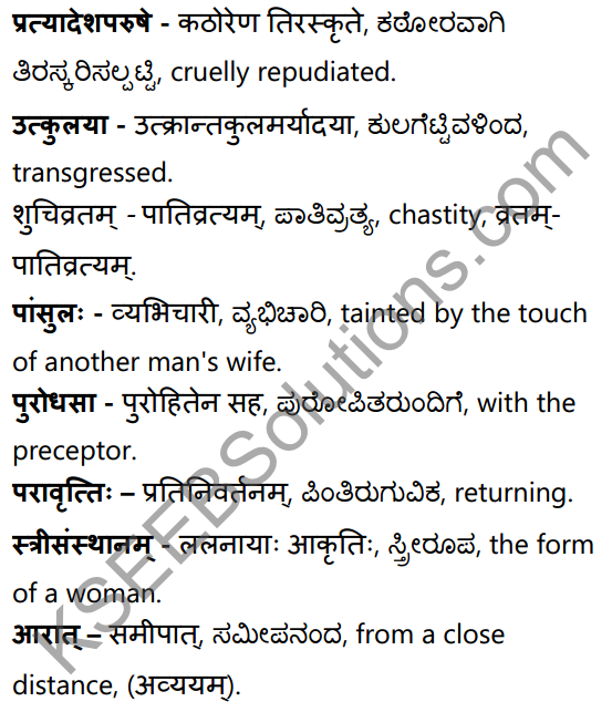 शून्या मेऽङ्गुलिः Summary in Kannada and English 78
