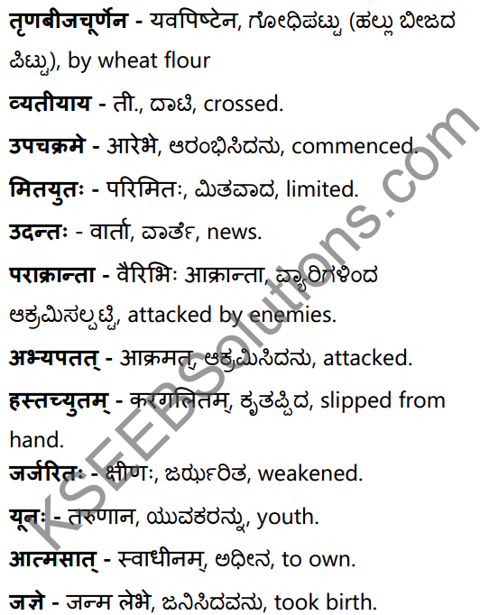 महाराणाप्रतापः Summary in Kannada and English 48