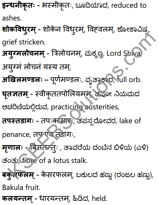 अनुरागोदयः Summary in Kannada and English 38