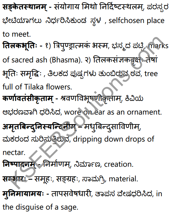 अनुरागोदयः Summary in Kannada and English 39