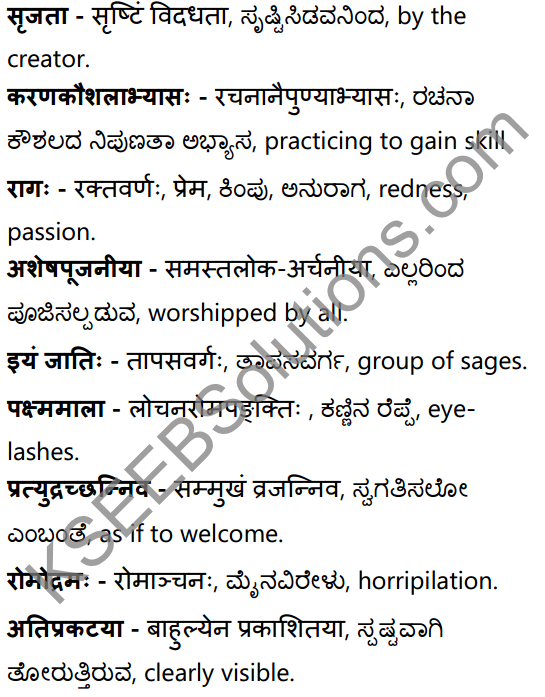 अनुरागोदयः Summary in Kannada and English 40