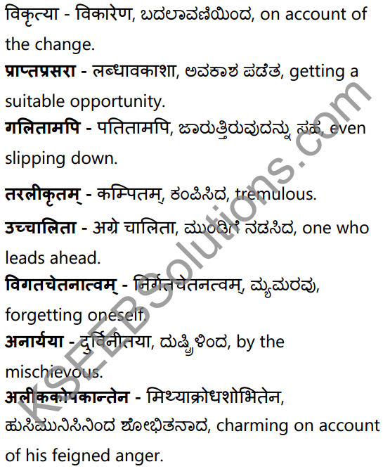 अनुरागोदयः Summary in Kannada and English 41