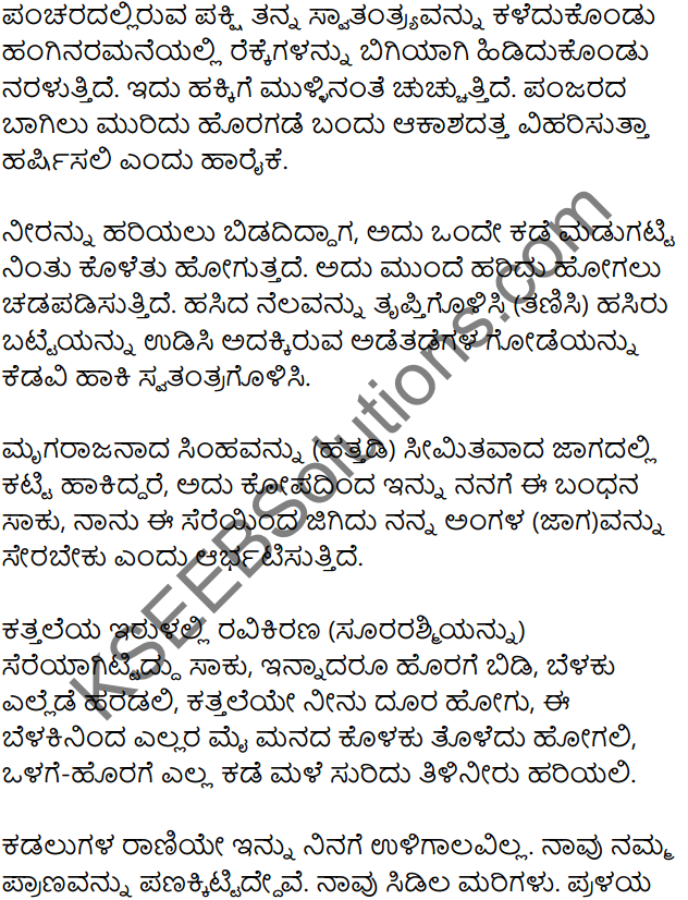Bidugadeya Hadu Summary in Kannada 3