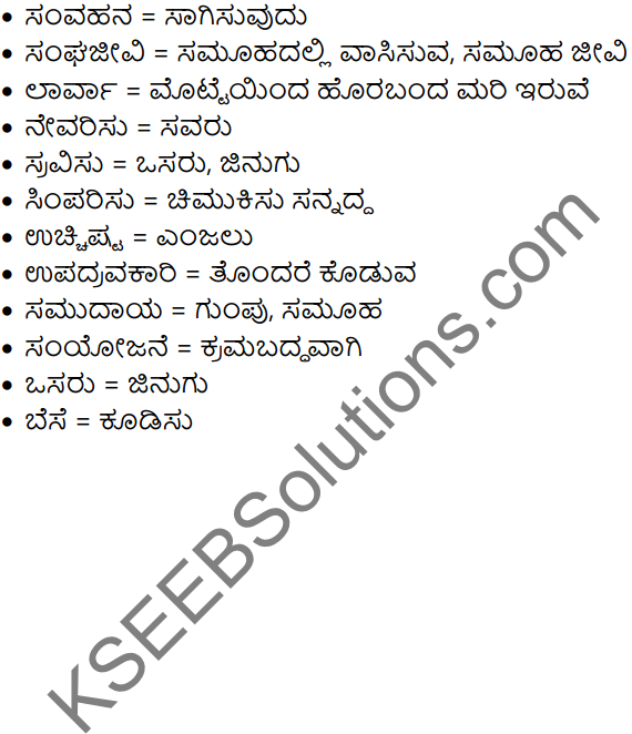 Chagali Iruve Summary in Kannada 4