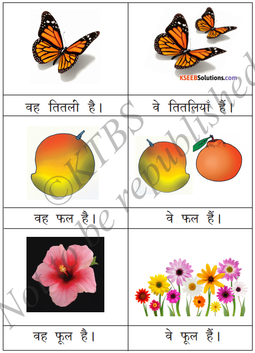 KSEEB Solutions for Class 6 Hindi Chapter 9 यह, ये, वह, वे 2