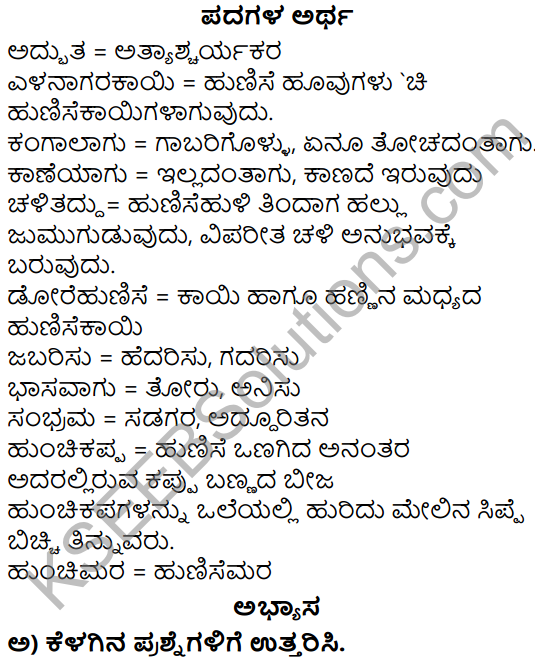 Siri Kannada Text Book Class 5 Solutions Gadya Chapter 6 Naanu Mattu Hunchimara 1