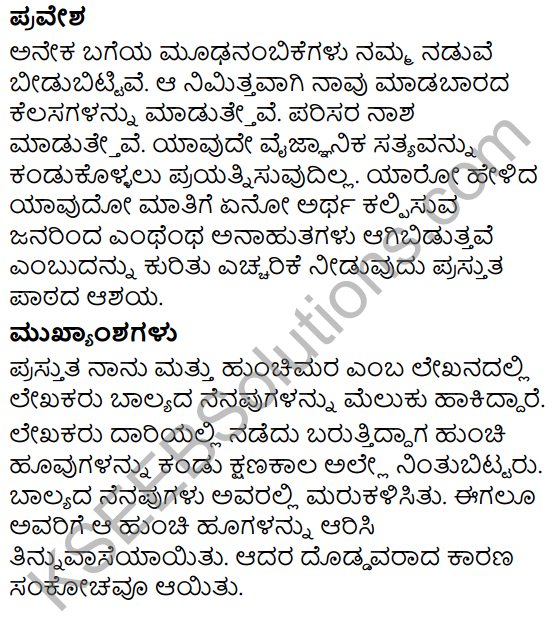 Naanu Mattu Hunchimara Summary in Kannada 7