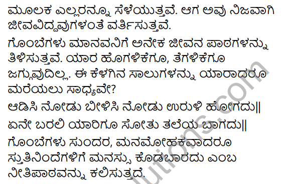 Mechina Gombe Summary in Kannada 5