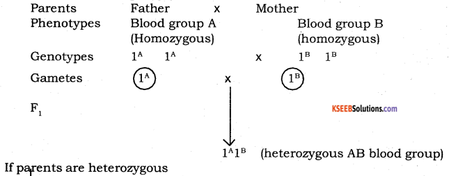 2nd PUC Biology Model Question Paper 4 with Answers 4