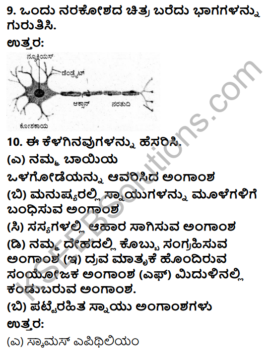 KSEEB Solutions for Class 9 Science Chapter 6 Amgansagalu 8
