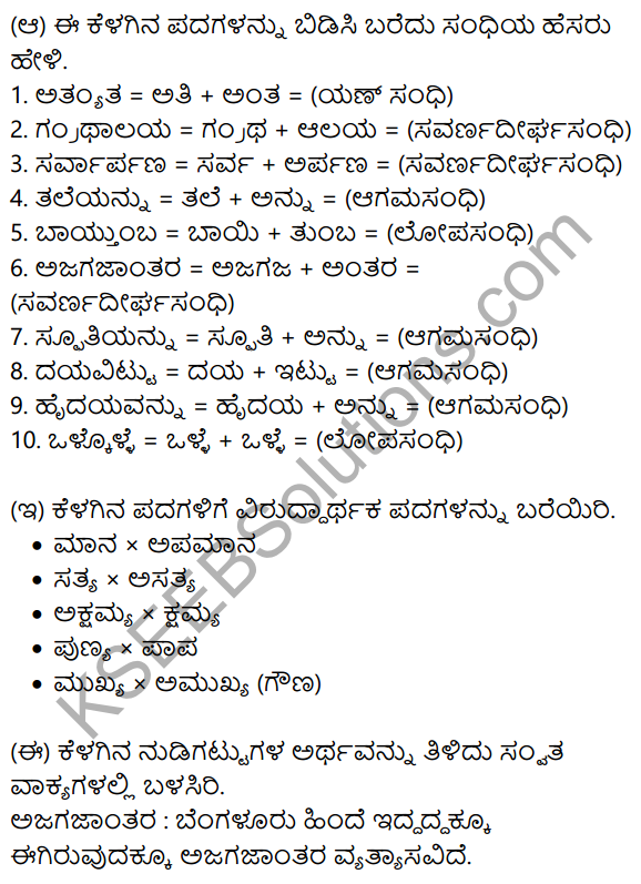 Nudi Kannada Text Book Class 10 Solutions Chapter 11 Nanna​ Pustaka​ Prapancha 10