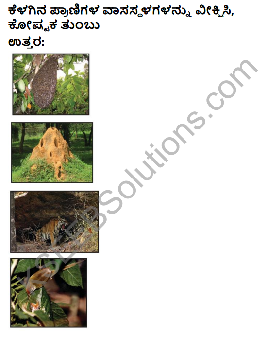 KSEEB Solutions for Class 4 EVS Chapter 10 Shelter - Its Variety in Kannada 11