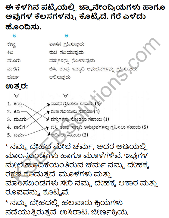 KSEEB Solutions for Class 4 EVS Chapter 13 Our Body - A Wonderful Machine in Kannada 1