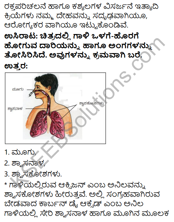 KSEEB Solutions for Class 4 EVS Chapter 13 Our Body - A Wonderful Machine in Kannada 2