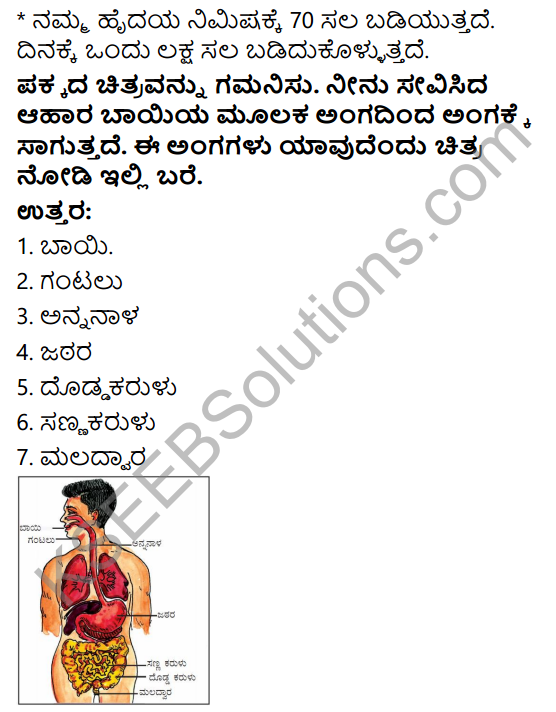 KSEEB Solutions for Class 4 EVS Chapter 13 Our Body - A Wonderful Machine in Kannada 5
