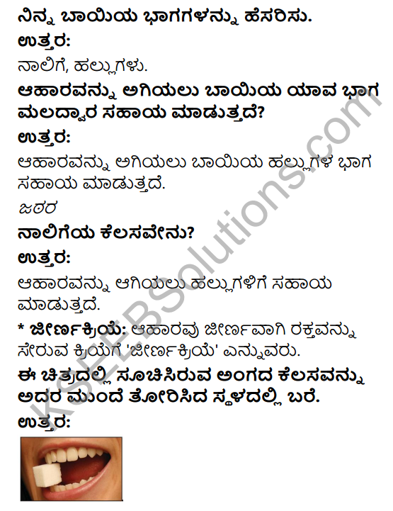 KSEEB Solutions for Class 4 EVS Chapter 13 Our Body - A Wonderful Machine in Kannada 6