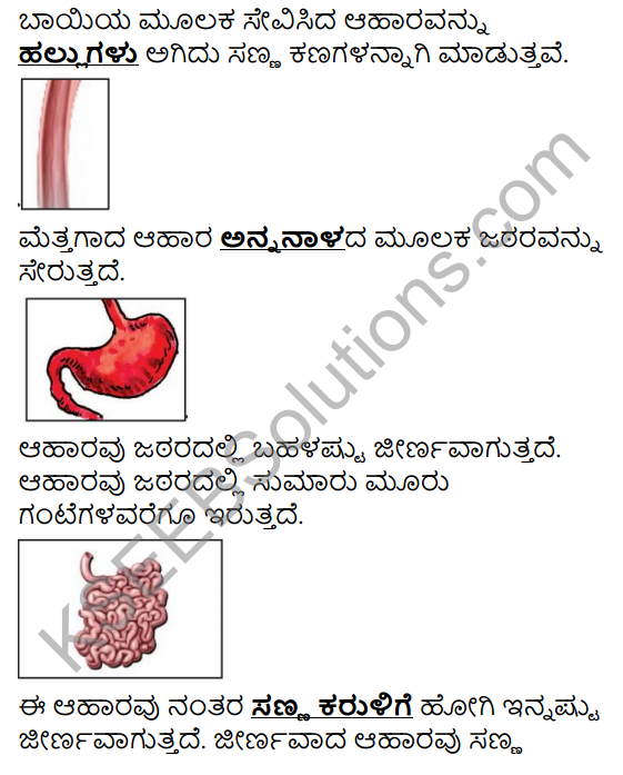 KSEEB Solutions for Class 4 EVS Chapter 13 Our Body - A Wonderful Machine in Kannada 7