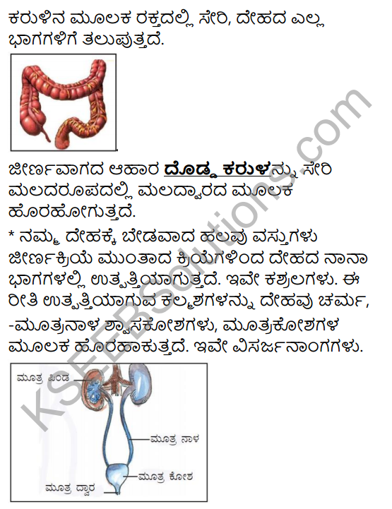 KSEEB Solutions for Class 4 EVS Chapter 13 Our Body - A Wonderful Machine in Kannada 8