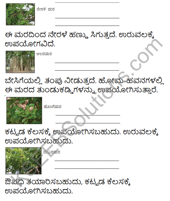 KSEEB Solutions for Class 4 EVS Chapter 3 Go Around the Forest in Kannada 4
