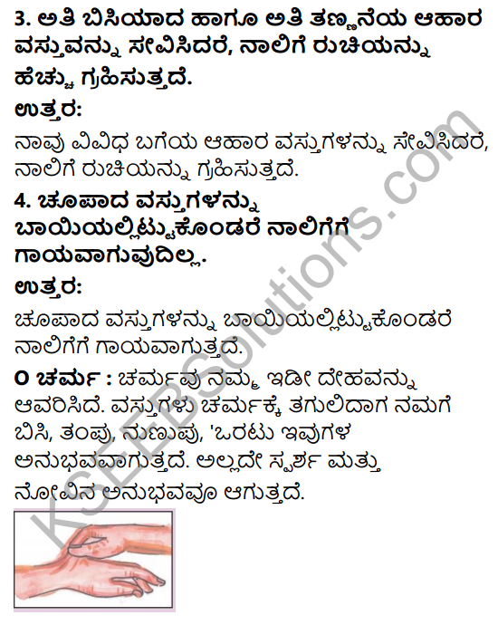 KSEEB Solutions for Class 3 EVS Chapter 10 Our Sense Organs in Kannada 9