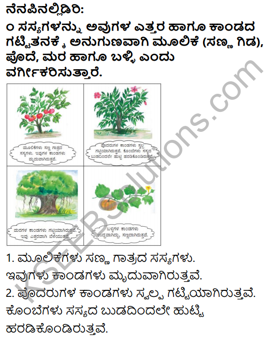 KSEEB Solutions for Class 3 EVS Chapter 2 Green Wealth in Kannada 1