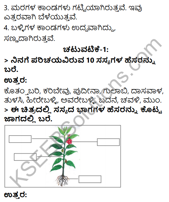 KSEEB Solutions for Class 3 EVS Chapter 2 Green Wealth in Kannada 2