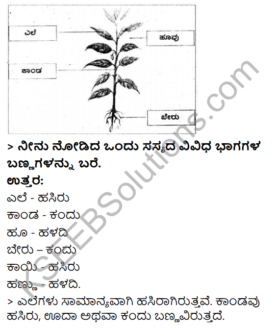 KSEEB Solutions for Class 3 EVS Chapter 2 Green Wealth in Kannada 3