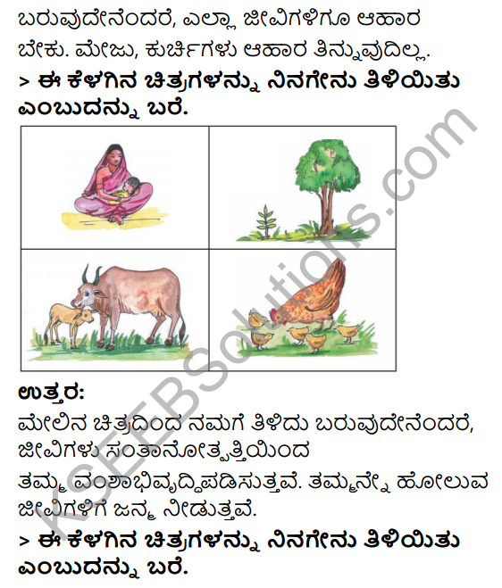 KSEEB Solutions for Class 3 EVS Chapter 3 Judgement of the Owl in Kannada 4