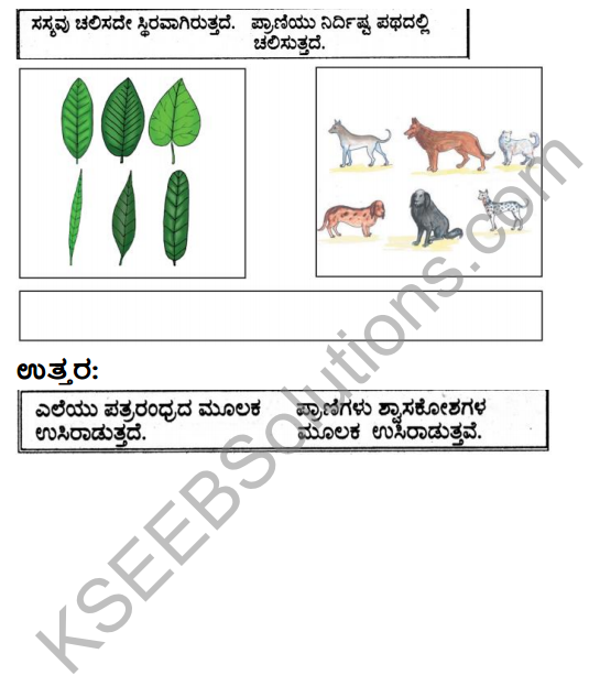 KSEEB Solutions for Class 3 EVS Chapter 3 Judgement of the Owl in Kannada 8