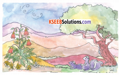 KSEEB Solutions for Class 3 English Chapter 11 Stories for Listening 61