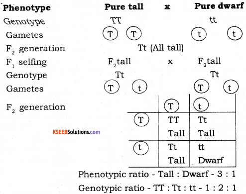 2nd PUC Biology Model Question Paper 1 with Answers 3