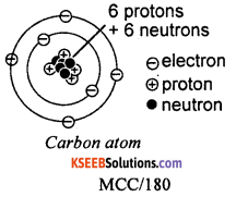 KSEEB Class 10 Science Important Questions Chapter 4 Carbon and Its Compounds 1