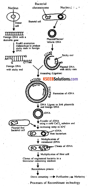 2nd PUC Biology Previous Year Question Paper June 2014 Q35(a)