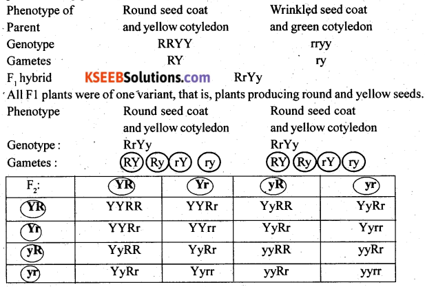 2nd PUC Biology Previous Year Question Paper March 2020 Q28