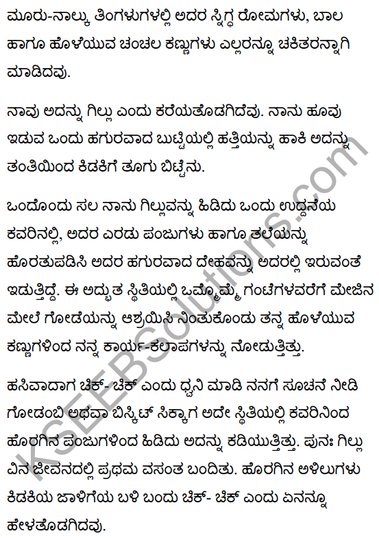 गिल्लू Summary in Kannada 3